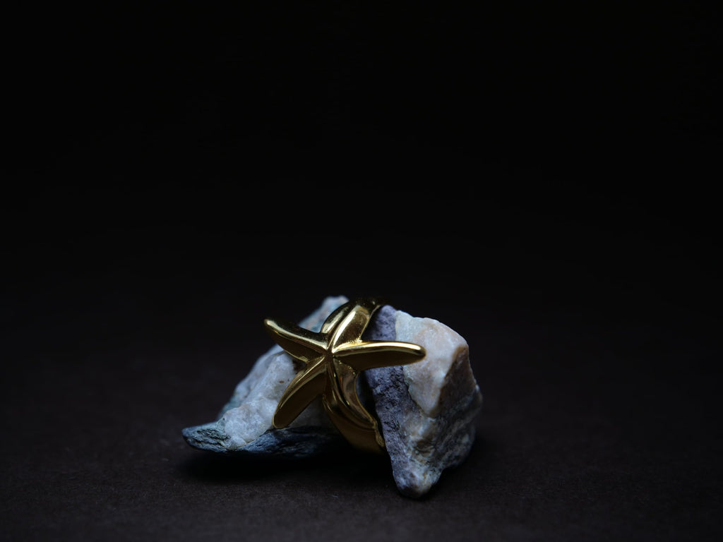 Hasto by Hasti Gold Starfish Adjustable Ring for Women & Girls | Ocean-Inspired Open Ring | Beach, Vacation, Party & Daily Wear Fashion Ring