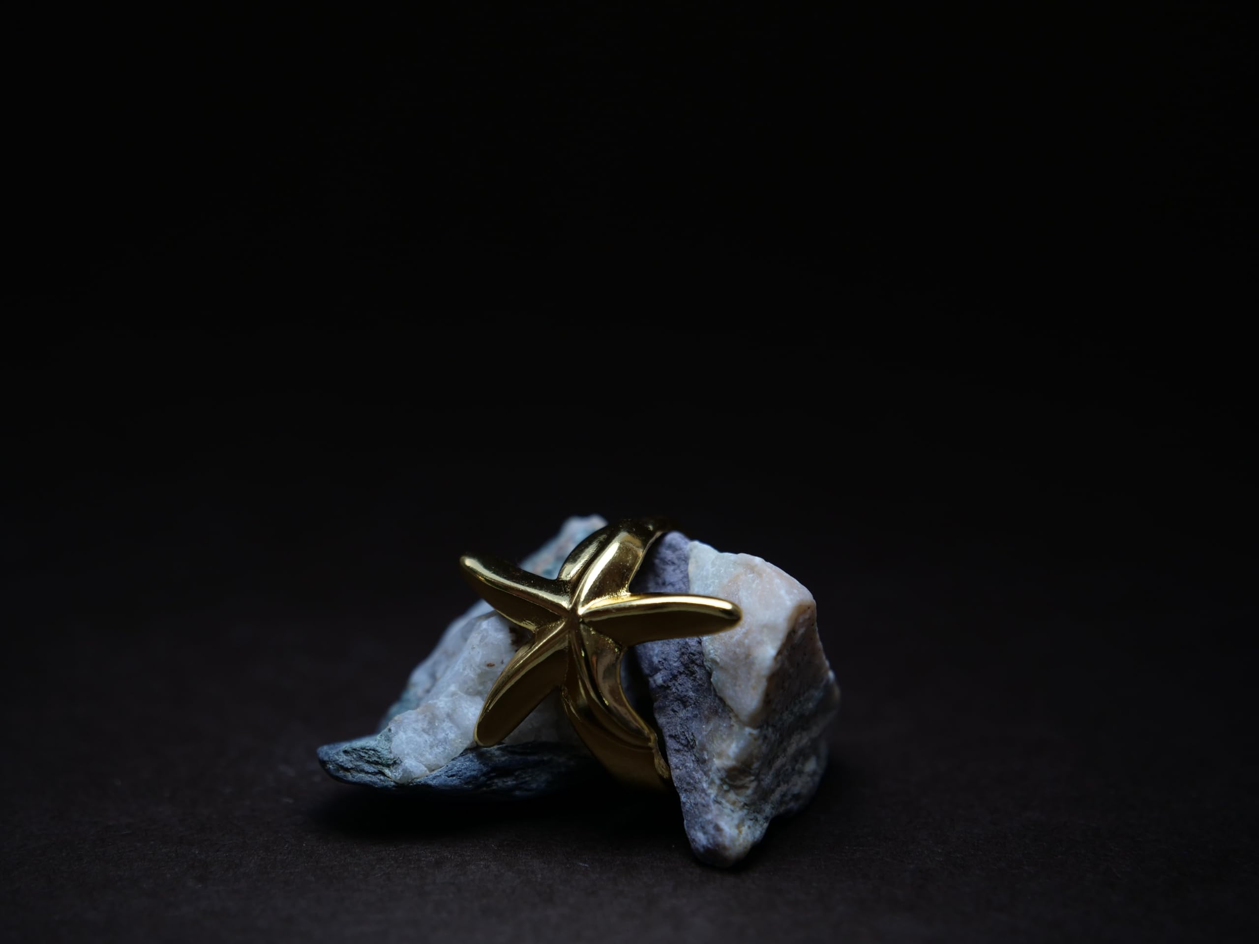 Hasto by Hasti Gold Starfish Adjustable Ring for Women & Girls | Ocean-Inspired Open Ring | Beach, Vacation, Party & Daily Wear Fashion Ring